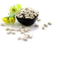 Plastic white kidney beans Natural growth